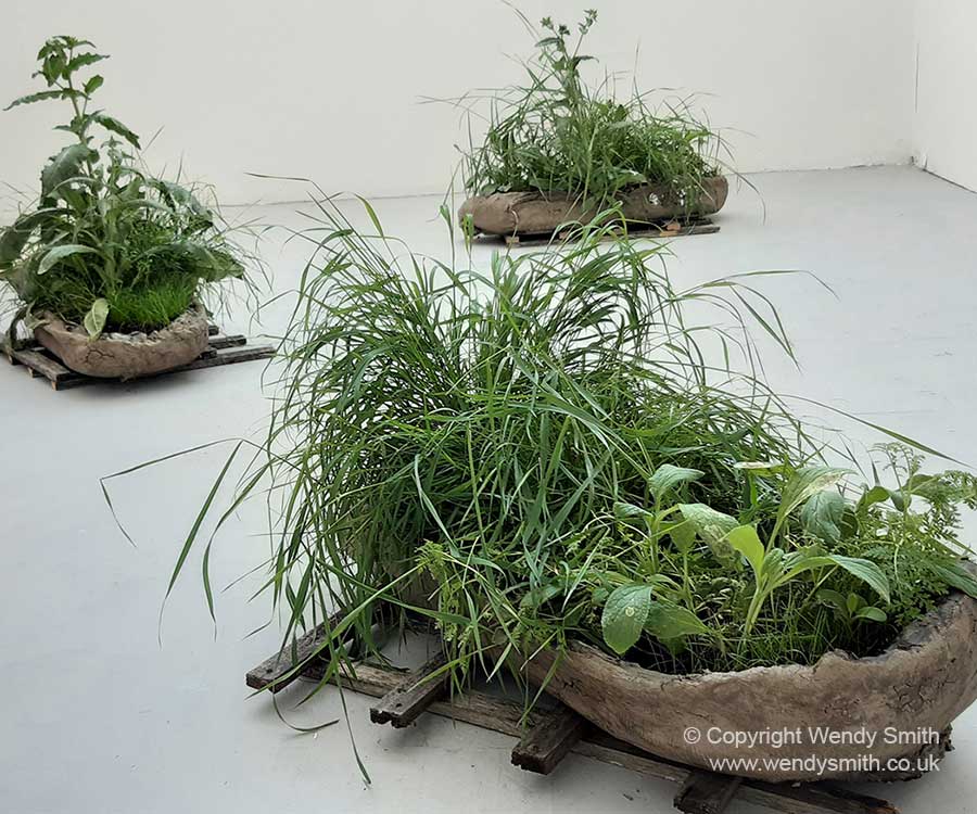 Adrift Installation 2022